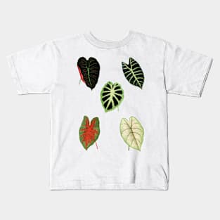 Elephant Ear pack Kids T-Shirt